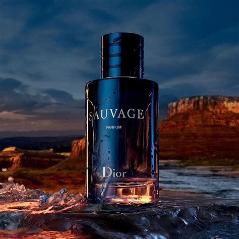 1.4 litre dior sauvage|sauvage dior best price.